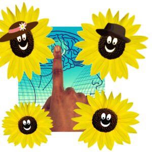 Success Signature Switch for a group or family. A great way to enjoy A Fabulous Life.