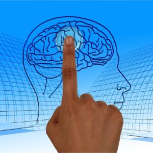 Success Signature Switch - Change your mind, not your diet