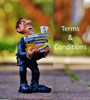 Terms and Conditions for A Fabulous Life, with Eliza Rose Coaching